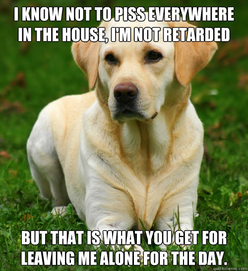 I know not to piss everywhere in the house, I'm not retarded But that is what you get for leaving me alone for the day. - I know not to piss everywhere in the house, I'm not retarded But that is what you get for leaving me alone for the day.  Dog Logic