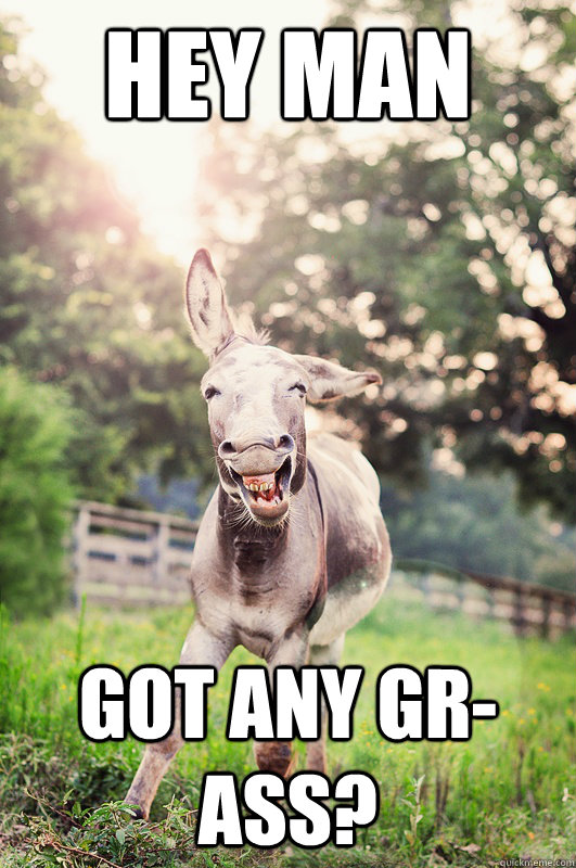 Hey man got any gr-ass?  10 Donkey