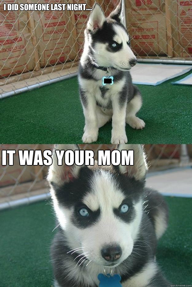 i did someone last night.... it was your mom  Insanity puppy