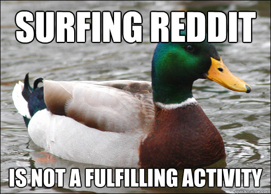 surfing reddit is not a fulfilling activity  Actual Advice Mallard