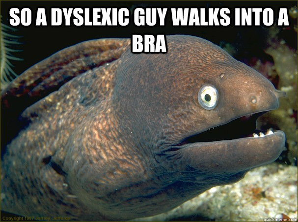 So a dyslexic guy walks into a bra  - So a dyslexic guy walks into a bra   Bad Joke Eel