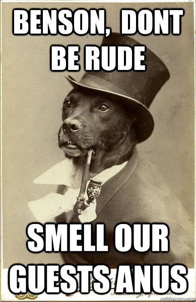benson,  dont be rude  smell our guests anus   Old Money Dog