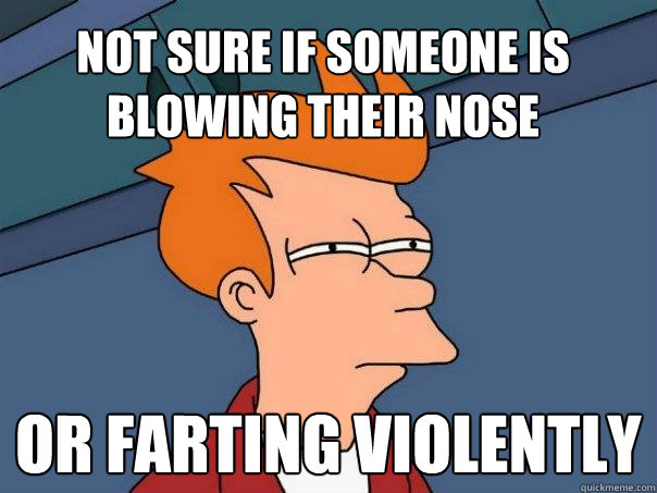 Not sure if someone is blowing their nose or farting violently  Futurama Fry