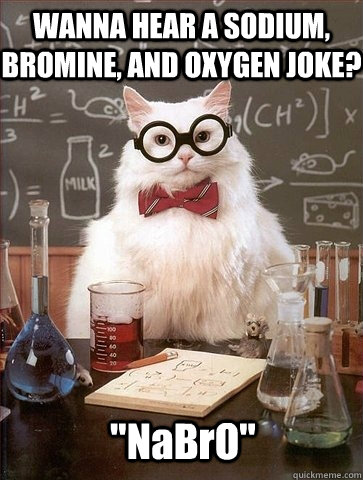 WANNA HEAR A SODIUM, BROMINE, AND OXYGEN JOKE? 