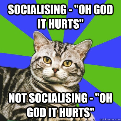 Socialising - 