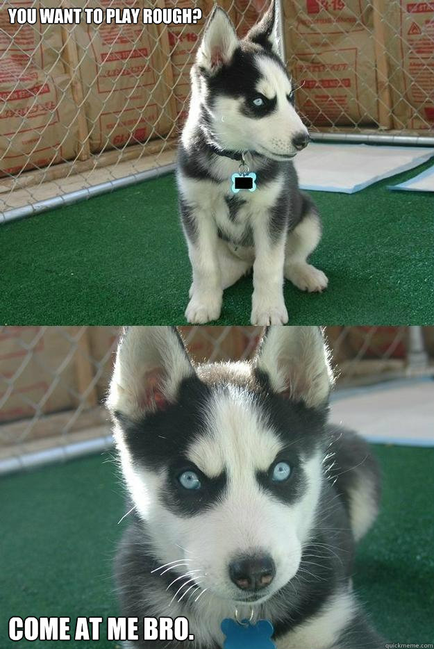 you want to play rough?  come at me bro.  Insanity puppy
