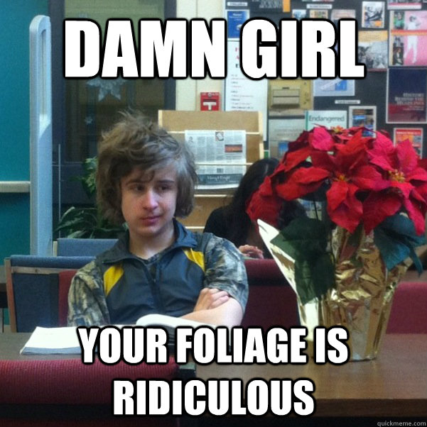 Damn Girl Your foliage is ridiculous  
