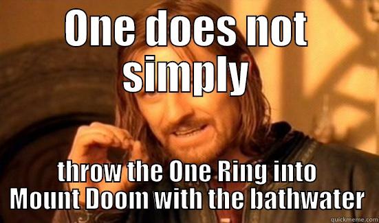 ONE DOES NOT SIMPLY THROW THE ONE RING INTO MOUNT DOOM WITH THE BATHWATER Boromir