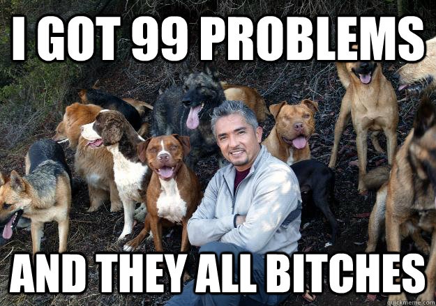 i got 99 problems and they all bitches - i got 99 problems and they all bitches  Bitch Whisperer