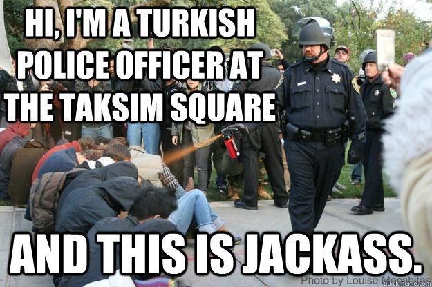 Hi, I'm a Turkish police officer at the Taksim Square and this is jackass.  