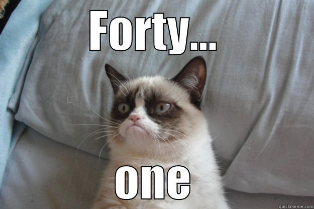 FORTY... ONE Grumpy Cat