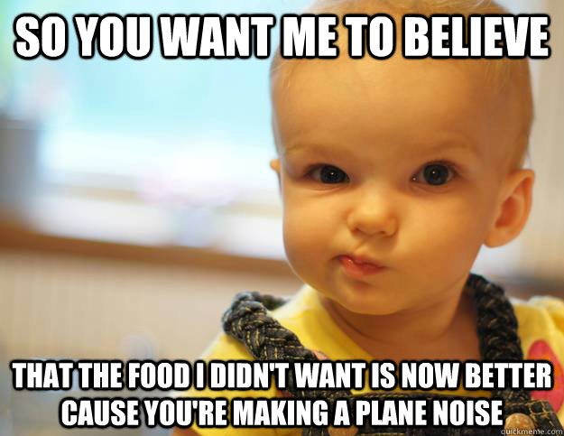 so you want me to believe that the food i didn't want is now better cause you're making a plane noise - so you want me to believe that the food i didn't want is now better cause you're making a plane noise  Sceptical Baby