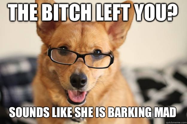 The bitch left you? Sounds like she is barking mad - The bitch left you? Sounds like she is barking mad  Freudawg
