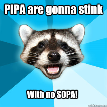 PIPA are gonna stink With no SOPA!  Lame Pun Coon