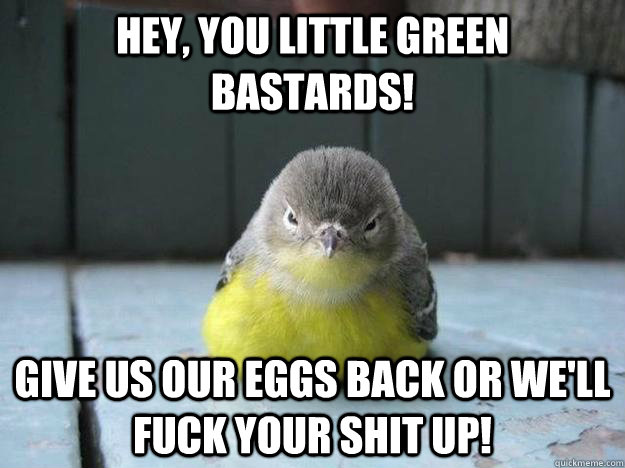 Hey, you little green bastards! give us our eggs back or we'll fuck your shit up!  