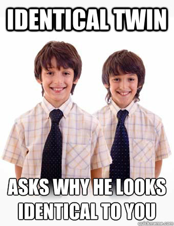 identical twin asks why he looks identical to you
  stupid sibling