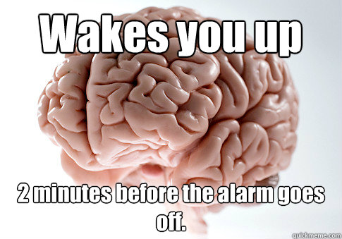 Wakes you up 2 minutes before the alarm goes off.  Scumbag Brain
