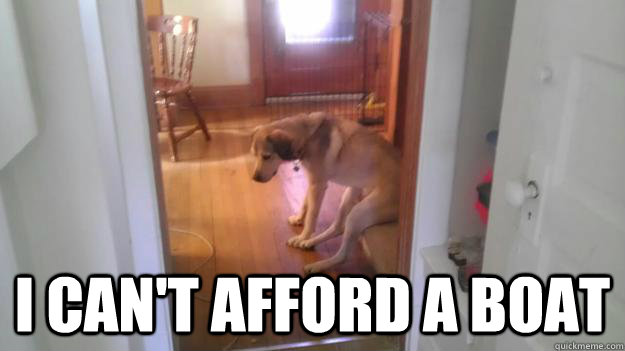  I can't afford a boat  depressed dog