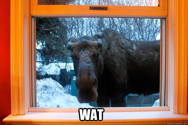 WAT  Wat Moose