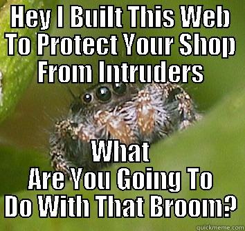HEY I BUILT THIS WEB TO PROTECT YOUR SHOP FROM INTRUDERS WHAT ARE YOU GOING TO DO WITH THAT BROOM? Misunderstood Spider