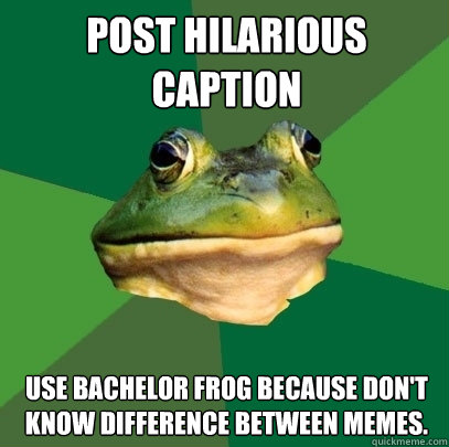 post hilarious caption use bachelor frog because don't know difference between memes.  Foul Bachelor Frog