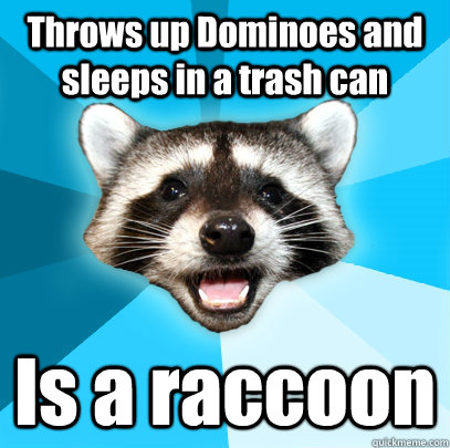 Throws up Dominoes and sleeps in a trash can Is a raccoon  Lame Pun Coon