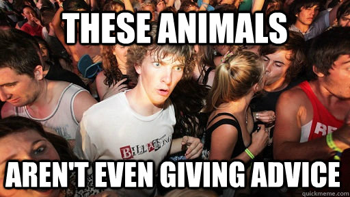These Animals Aren't even giving advice  Sudden Clarity Clarence