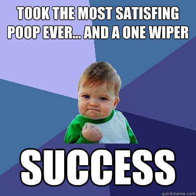 Took the most satisfing poop ever... and a one wiper  success - Took the most satisfing poop ever... and a one wiper  success  Success Kid