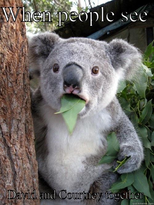WHEN PEOPLE SEE  DAVID AND COURTNEY TOGETHER koala bear