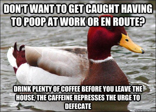 Don't want to get caught having to poop at work or en route? Drink plenty of coffee before you leave the house, the caffeine represses the urge to defecate  Malicious Advice Mallard