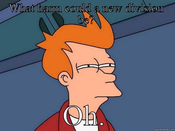 WHAT HARM COULD A NEW DIVISION BE? OH. Futurama Fry