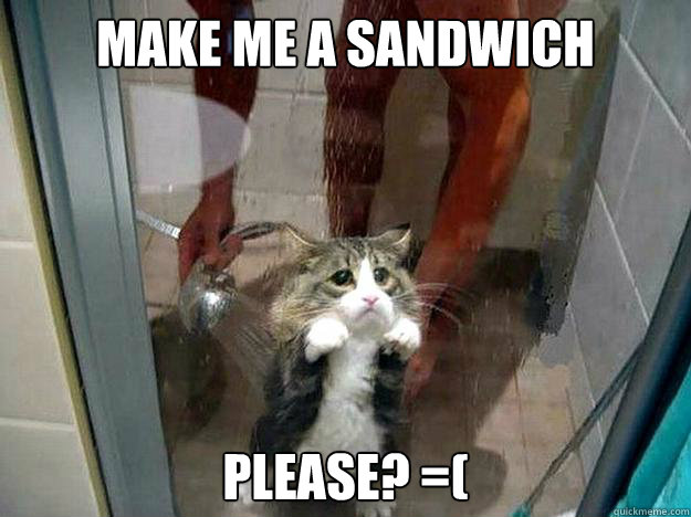 Make me a sandwich  Please? =(  Shower kitty