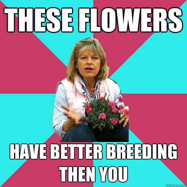 These flowers Have better breeding then you  SNOB MOTHER-IN-LAW
