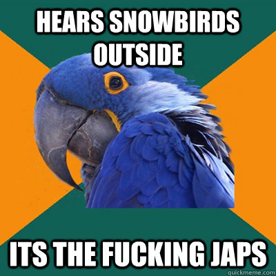 hears snowbirds outside its the fucking japs   Paranoid Parrot