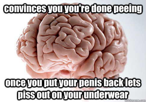 convinces you you're done peeing once you put your penis back lets piss out on your underwear  Scumbag Brain