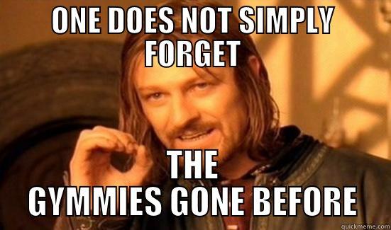 ONE DOES NOT SIMPLY FORGET THE GYMMIES GONE BEFORE Boromir