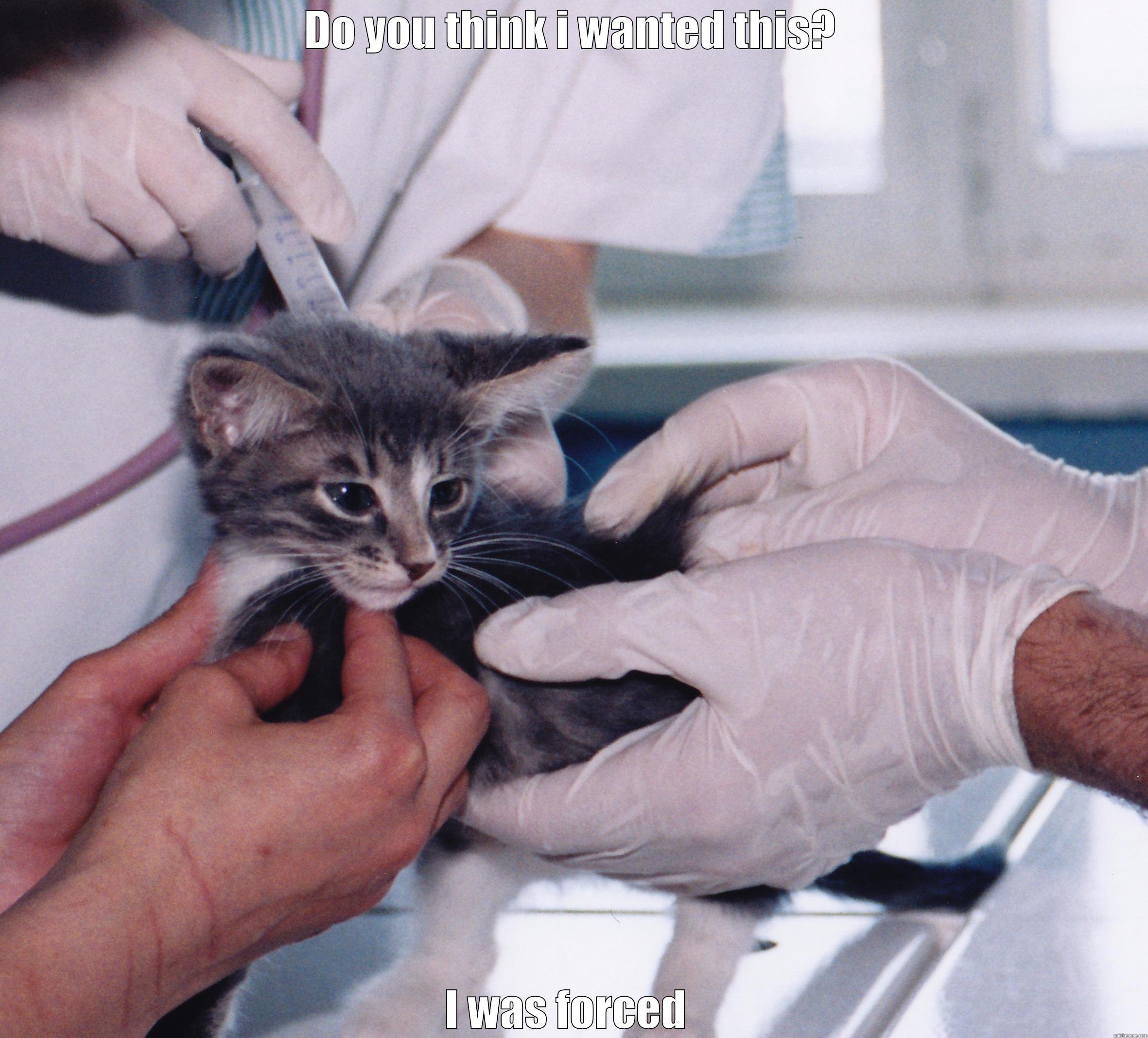 DO YOU THINK I WANTED THIS? I WAS FORCED  Misc