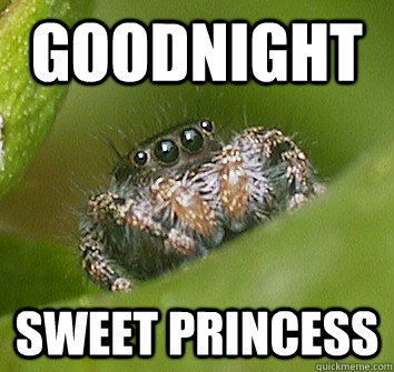 GOODNIGHT Sweet princess  Misunderstood Spider