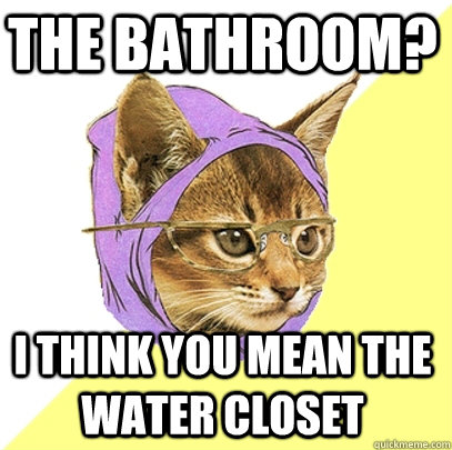The bathroom? I think you mean the water closet  Hipster Kitty
