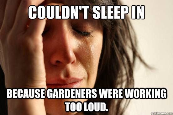 Couldn't sleep in because gardeners were working too loud.   First World Problems