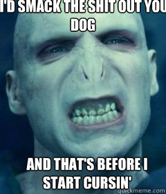 I mean I'd smack the shit out you twice dog and that's before I start cursin'  - I mean I'd smack the shit out you twice dog and that's before I start cursin'   Voldemort Meme