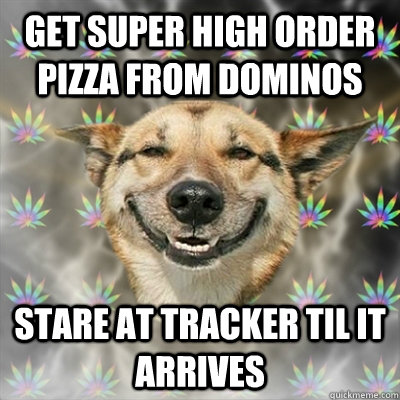 GET SUPER HIGH ORDER PIZZA FROM DOMINOS STARE AT TRACKER TIL IT ARRIVES - GET SUPER HIGH ORDER PIZZA FROM DOMINOS STARE AT TRACKER TIL IT ARRIVES  Stoner Dog