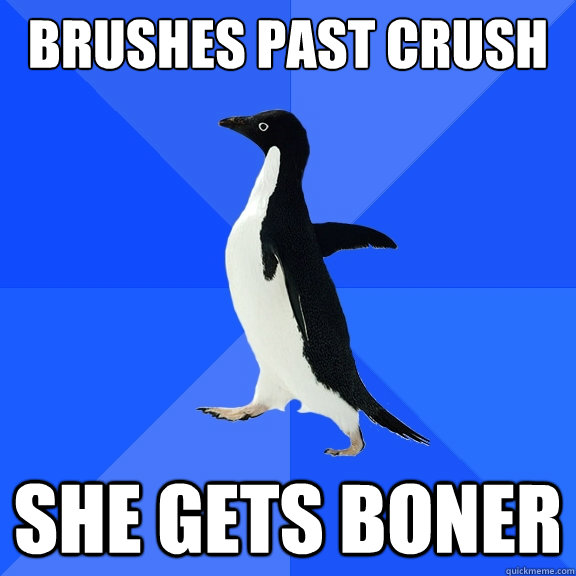 BRUSHES PAST CRUSH SHE GETS BONER  Socially Awkward Penguin
