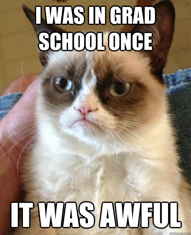 I was in grad school once it was awful  Grumpy Cat