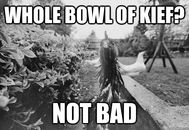 Whole bowl of kief? Not bad - Whole bowl of kief? Not bad  Impressed Chicken