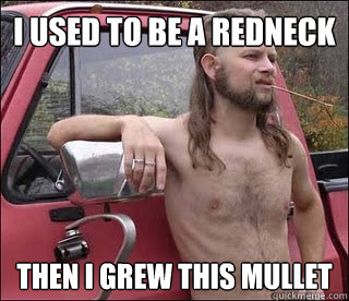 I used to be a redneck then i grew this mullet    racist redneck