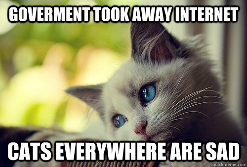 goverment took away internet cats everywhere are sad  First World Problems Cat