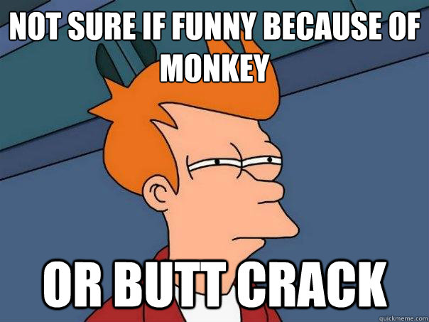 Not sure if funny because of monkey or butt crack  Futurama Fry
