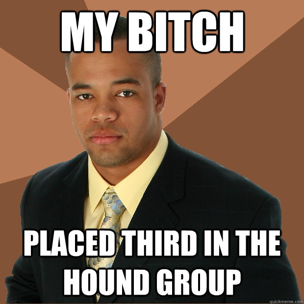My Bitch placed third in the hound group  Successful Black Man
