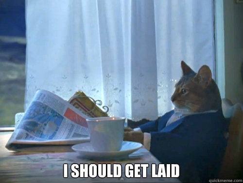  I should get laid  The One Percent Cat